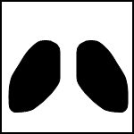 ���}��q58.gif�Ŏw�肵�ĉ�����