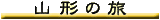 �R�`�̗�