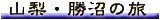 �R���E�����̗�