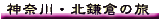 �_�ސ�E�k���q�̗�