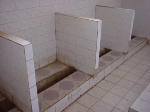 gC