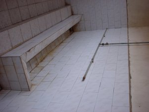 gC