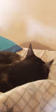 zzz...
