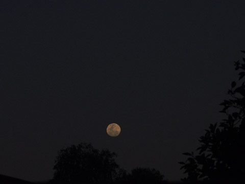 La luna