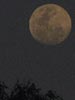 La luna