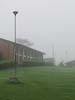 Esta mañana hay una niebla espesa.